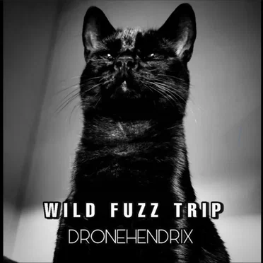 Dronehendrix