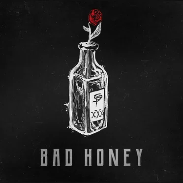 Bad Honey by Sierra Pilot - album cover