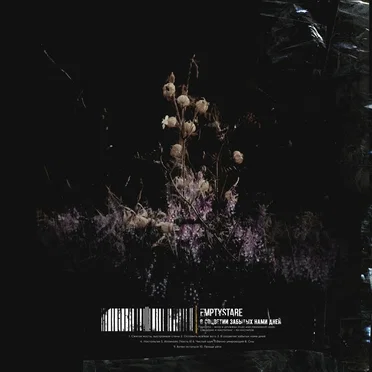 В соцветии забытых нами дней by Emptystare - album cover