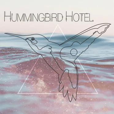 Hummingbird Hotel by Hummingbird Hotel - album cover