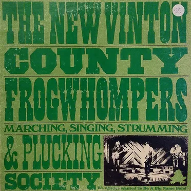 We Always Wanted to Be a Big Name Band by The New Vinton County Frogwhompers Marching, Singing, Strumming & Plucking Society - album cover
