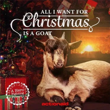 All I Want for Christmas Is a Goat by ActionAid - album cover