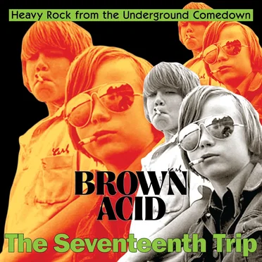 Brown Acid: The Seventeenth Trip by Various Artists - album cover