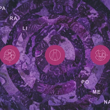 Paralipomena by Pillars of Cacophony - album cover