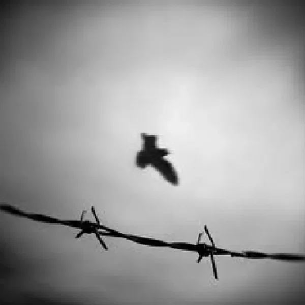Watching It Unfold As The Memories Collide