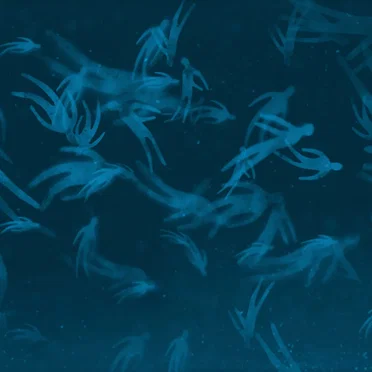 Forced Convalescence