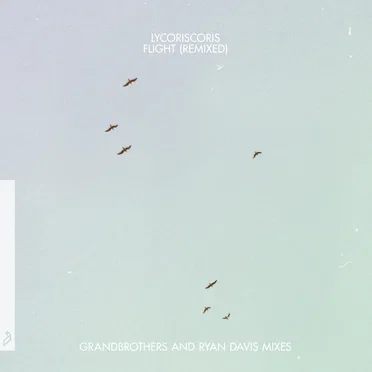 Flight (remixed)