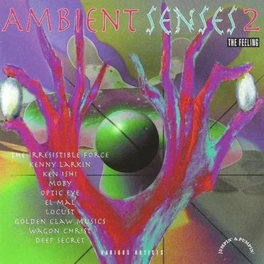 Ambient Senses 2: The Feeling by Various Artists - album cover