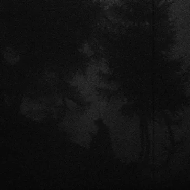A Concert In Front Of An Audience Of Birds, Trees And Stones
