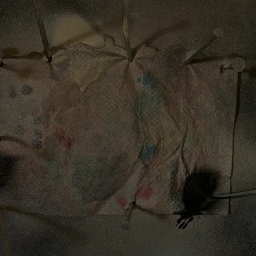 Dreams of Dandelions