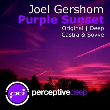 Purple Sunset by Joel Gershom - album cover
