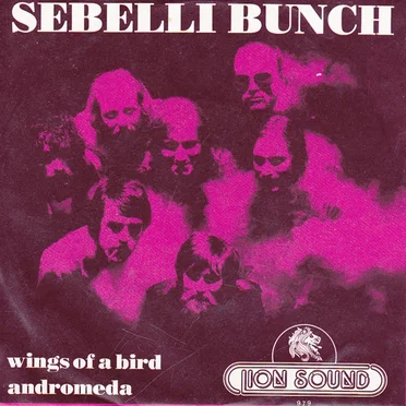 Wings of a Bird / Andromede