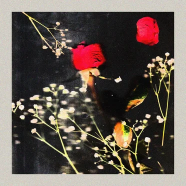 Nostalgia by Willie Lovelace - album cover