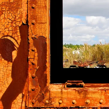 Body and Limbs Still Look to Light