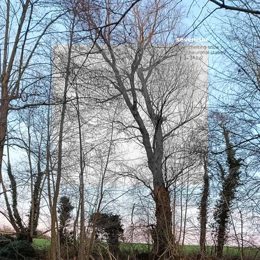 Melting Snow - Neuronal Static