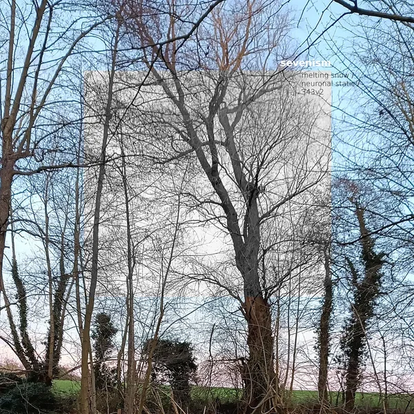 Melting Snow - Neuronal Static