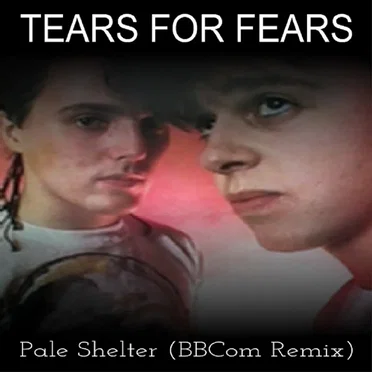 Pale Shelter (Blinky Blinky Computerband remix)