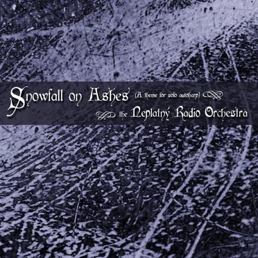 Snowfall on Ashes (A Theme for Solo Autoharp) by The Neplatný Radio Orchestra - album cover
