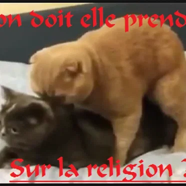 La Fiction doit elle prendre pas sur la religion