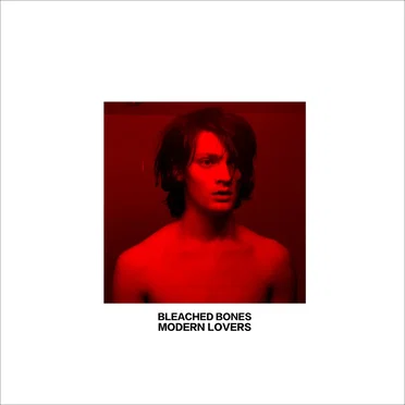 Modern Lovers by Bleached Bones - album cover