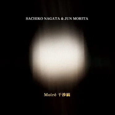 Moiré 干渉縞