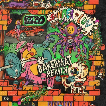 Summer of Luv (Bakermat remix)