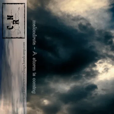 A Storm Is Coming