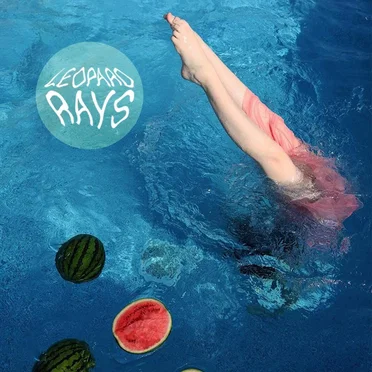 Wealth and Comfort by Leopard Rays - album cover