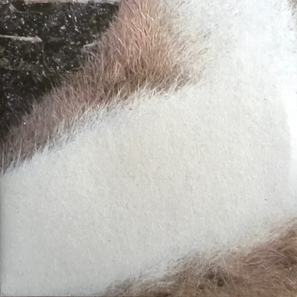 N (37) / [ B O L T ]