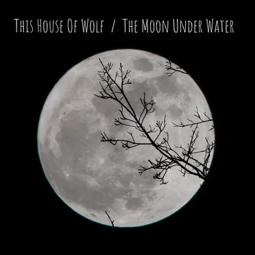 The Moon Under Water
