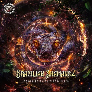 Brazilian Shamans 4 by Various Artists - album cover