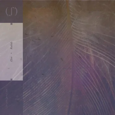 Radials by Ffion - album cover