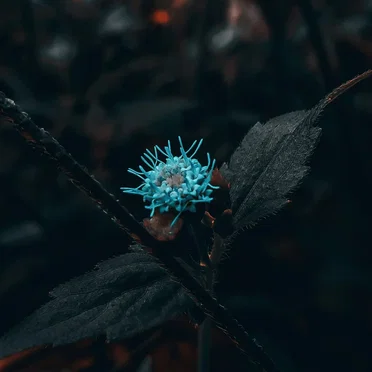 a drop of hope