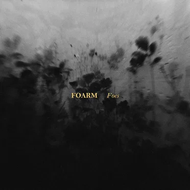Foarm