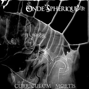 Curriculum Mortis by Onde Sphérique - album cover