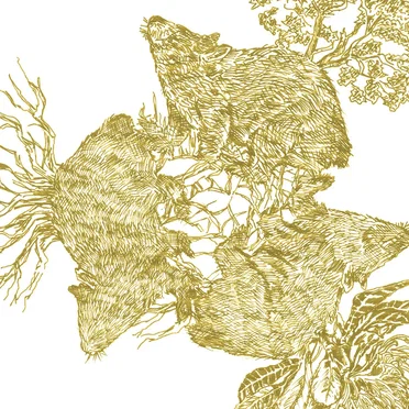 III. Australasia by Various Artists - album cover