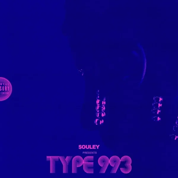 TYPE 993