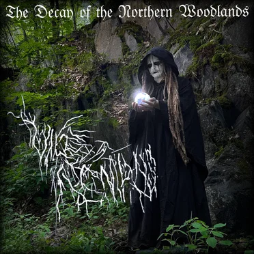 The Decay of the Northern Woodlands