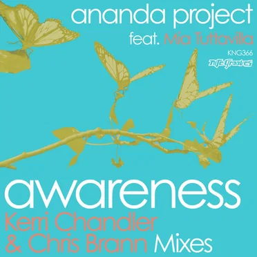 Awareness