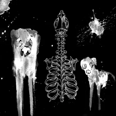 Stray Dogs by Zanate - album cover