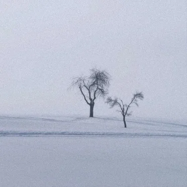 Snowfall