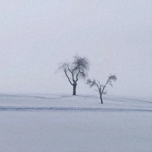 Snowfall