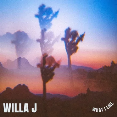 What I Like by Willa J - album cover