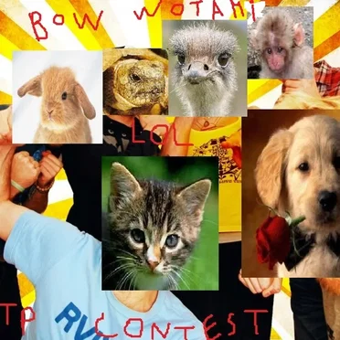 Lil' Bow Wotami by Can't Bear This Party - album cover