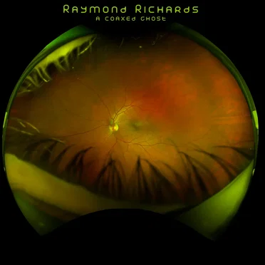 A Coaxed Ghost by Raymond Richards - album cover