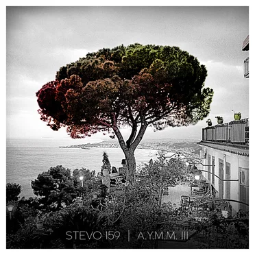 A.Y.M.M. 3