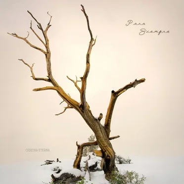 Para Siempre by Cosecha Eterna - album cover