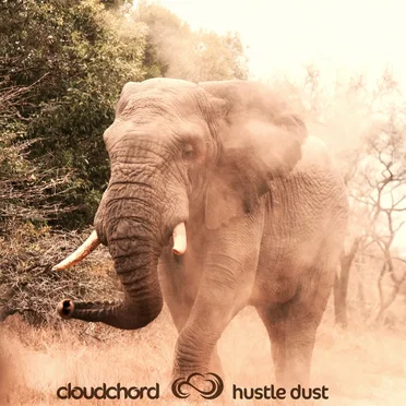 Hustle Dust