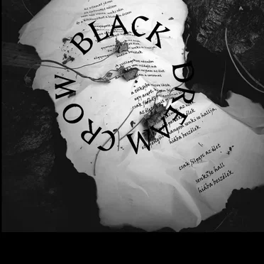 Crow Black Dream