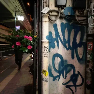 ayama_fl(060908)